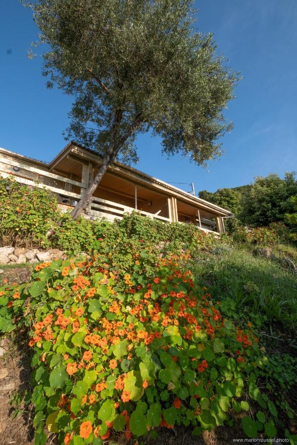 Les Terrasses De Scaglioli Villa Villanova Exterior photo